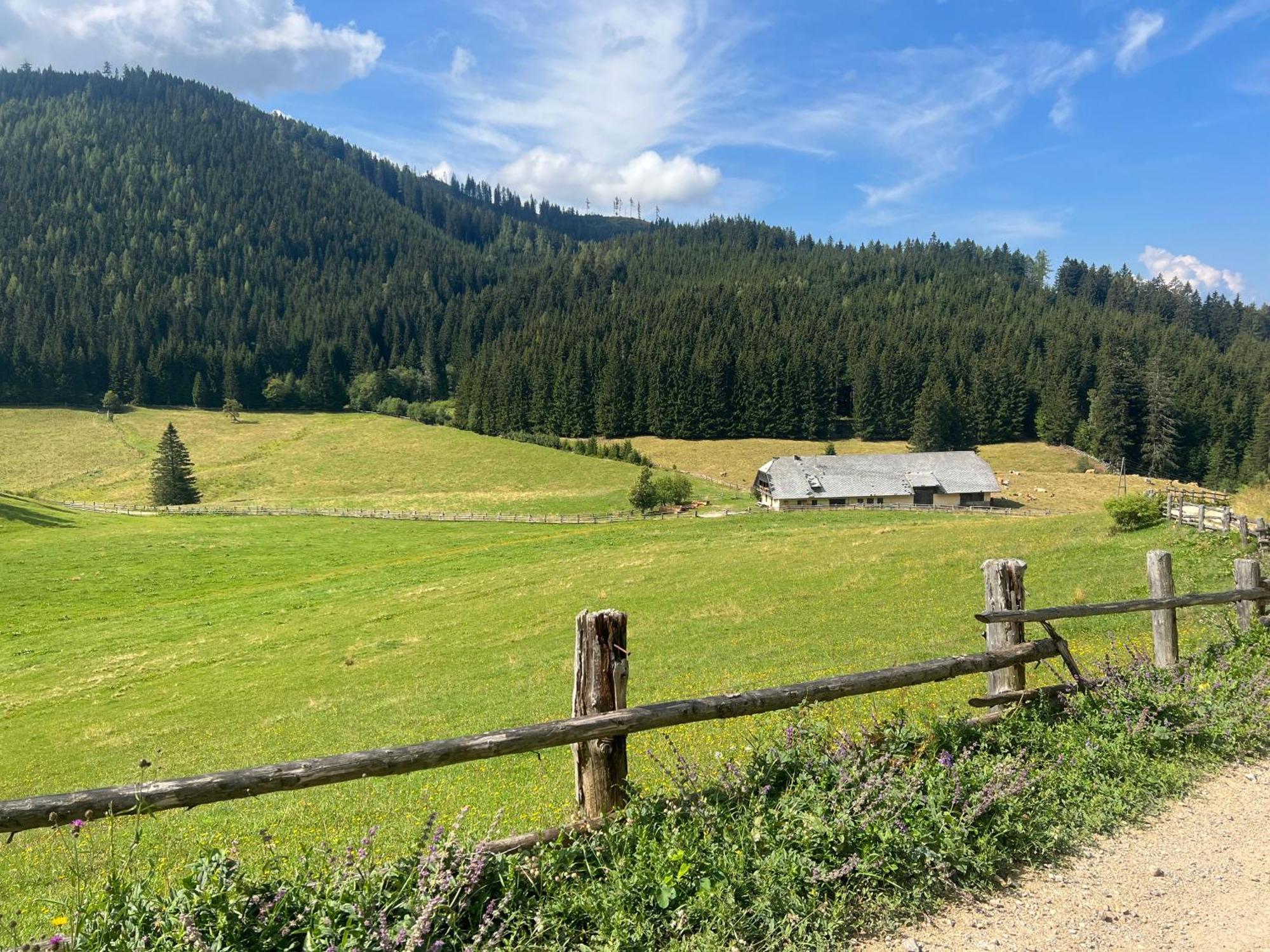 Ferienwohnung Crjanski Raj Crna na Koroskem Exterior foto